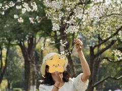 -堤角公园