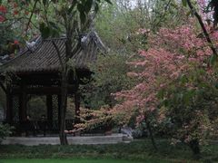 -棠湖公园