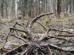 -硗碛藏寨·神木垒景区