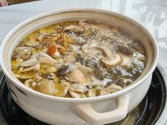 -蘑统田下·野生菌火锅