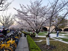 -龙美术馆(西岸馆)