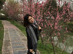 -南汇桃花村