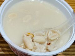 -海丝金凤(金鱼店)