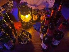 -夜火烤摊·东北烧烤酒场·老杨小黄鱼