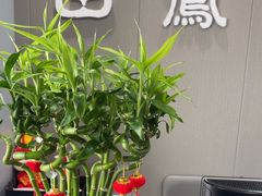 -田凤波推拿.按摩养生(幸福店)