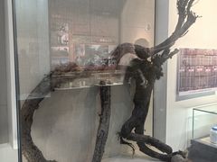 -三五九旅屯垦纪念馆