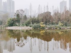 -龙头寺公园