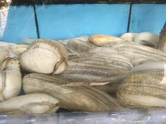 -龙溪海鲜酒家(溪涌店)