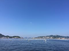 -枸杞岛
