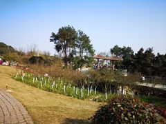 -铁山坪森林公园