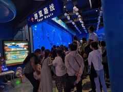 -烟台海昌鲸鲨海洋公园