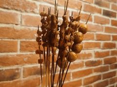 -狮龙啤酒烧烤屋(建二路店)