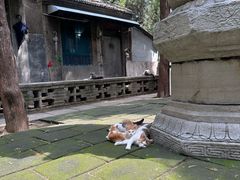 -四门塔风景区