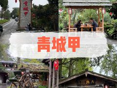 -青城甲(青城山店)