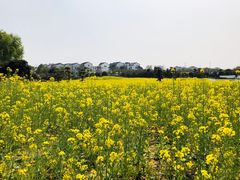 -武汉紫薇都市田园