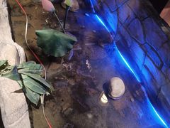-城墙拐拐火锅(三峡广场黑金冠店)