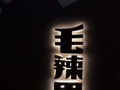 -毛辣果·酸