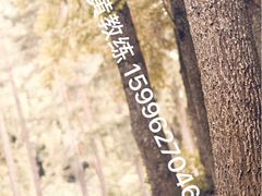 -西吉马游泳健身(协信店)