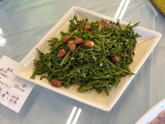 -京北渔家傲