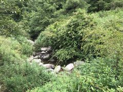 -苍山感通索道