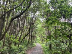 -青龙山国家森林公园