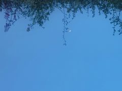 -阡陌上花园设计师民宿(深圳坪洲地铁站店)