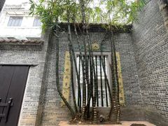 -荔湾博物馆