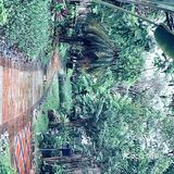 记得偶尔去三亚的海边，吹吹海风看看晚霞