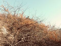-秦岭风景区