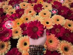 -松赞拉萨林卡酒店