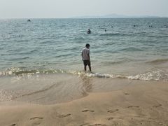 -卷心菜和避孕套餐厅(Pattaya)