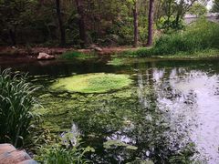 -白水寺森林公园