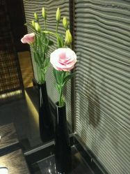 -THANN EXPRESS SPA