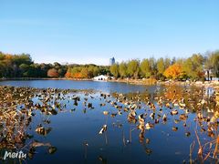 -长春市南湖公园