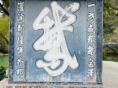 -靖西鹅泉风景区