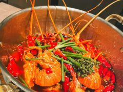 麻辣小青龙-柿合缘新京菜(国金中心商场店)