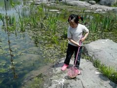 -新江湾城公园