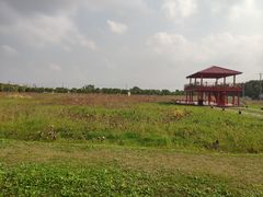 -嘉北郊野公园
