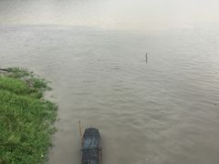 -羚羊峡古栈道森林公园