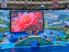 -海合安成都极地海洋公园