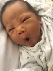 -海豚湾高端月子会所(黄浦店)