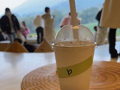 -白茶原·一片叶子