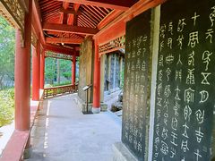 -碑林公园