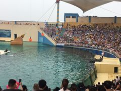 -秦皇岛乐岛海洋王国