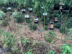 -会稽山峡洞漂流-上青古道