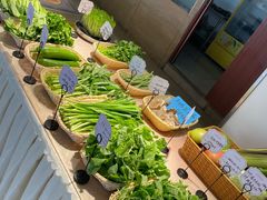 -大方圆酒楼(新颜东路店)