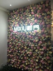 -谜秀专业半永久纹眉纹绣美瞳线洗眉