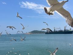 -海驴岛(荣成市)