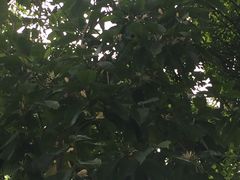 -晓港公园