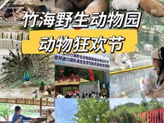 -栾川竹海野生动物园